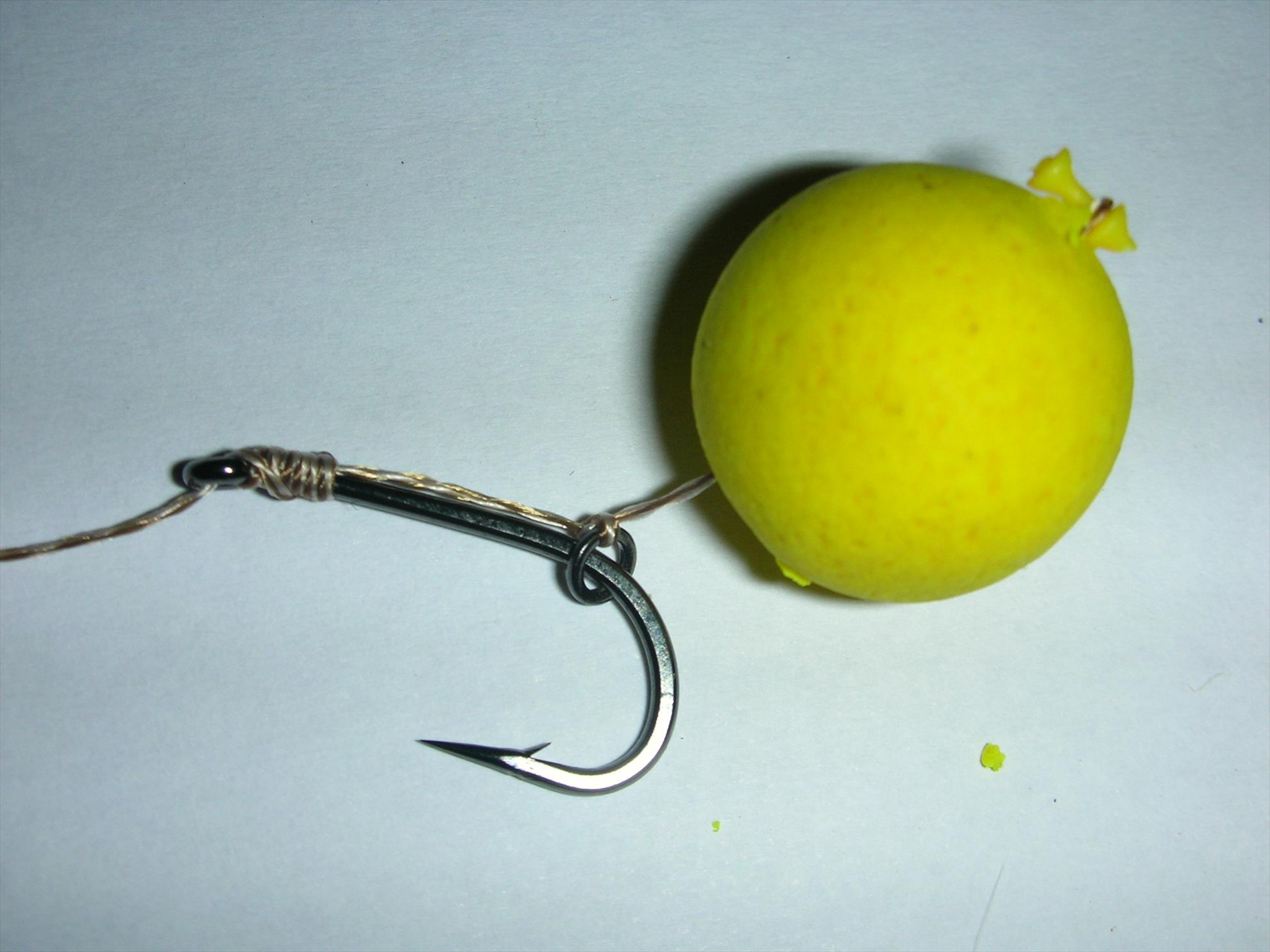 Monturi - dscn1914.jpg